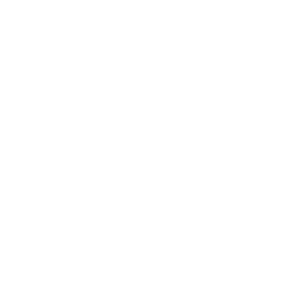 Volkswagen Partner Program logo